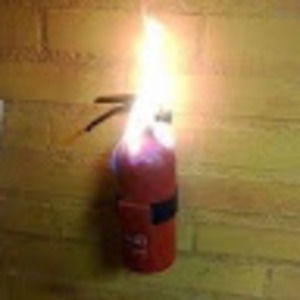 Meet your Posher, Evan